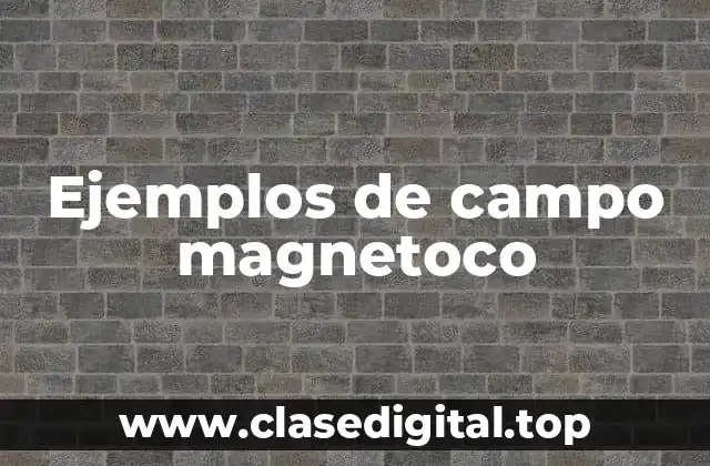 Ejemplos de campo magnetoco