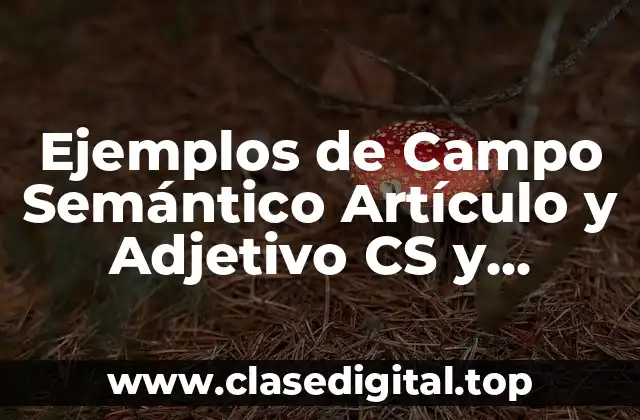 Ejemplos de Campo Semántico Artículo y Adjetivo CS y Significado