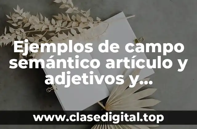 Ejemplos de campo semántico artículo y adjetivos y Significado