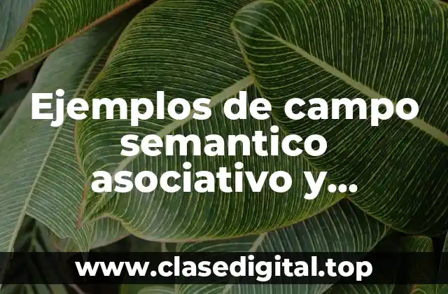 Ejemplos de campo semantico asociativo y Significado