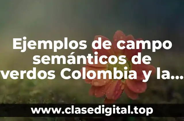 Ejemplos de campo semánticos de verdos Colombia y la traducción