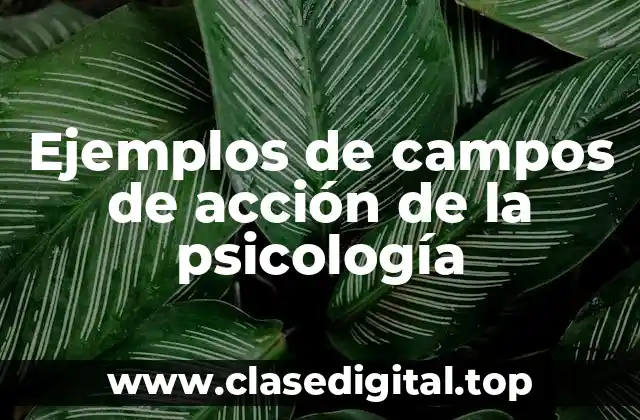 Ejemplos de campos de acción de la psicología