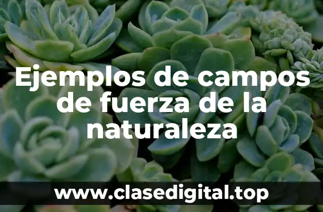 Ejemplos de campos de fuerza de la naturaleza