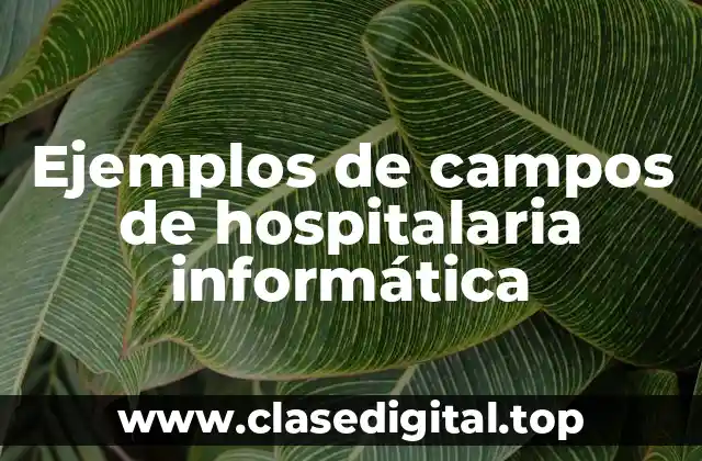 Ejemplos de campos de hospitalaria informática