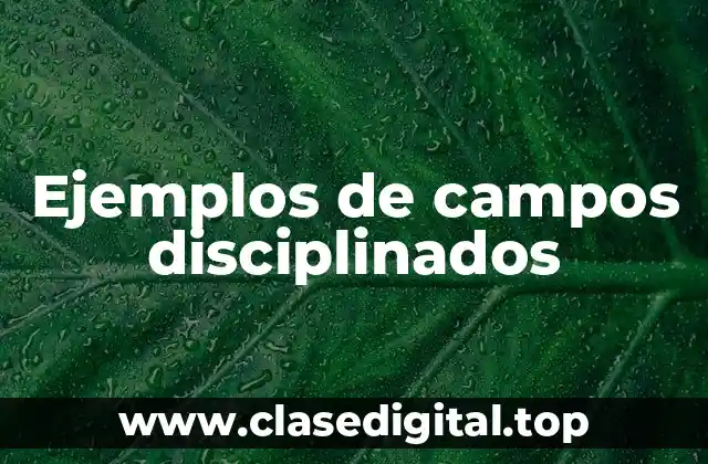 Ejemplos de campos disciplinados