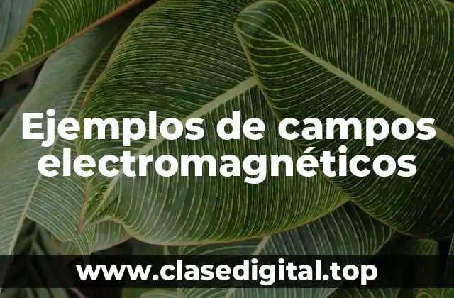 Ejemplos de campos electromagnéticos