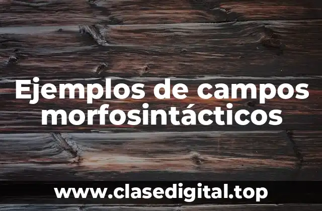 Ejemplos de campos morfosintácticos