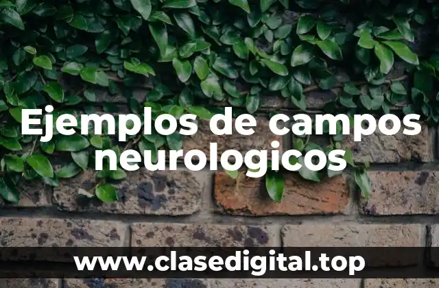 Ejemplos de campos neurologicos
