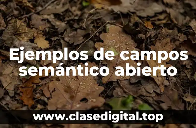 Ejemplos de campos semántico abierto