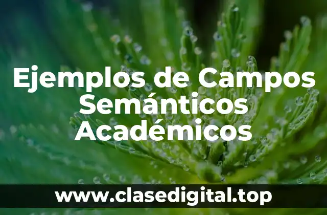Ejemplos de Campos Semánticos Académicos