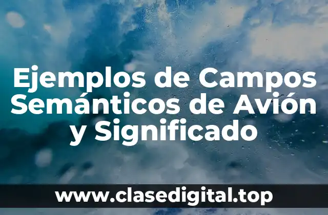 Ejemplos de Campos Semánticos de Avión