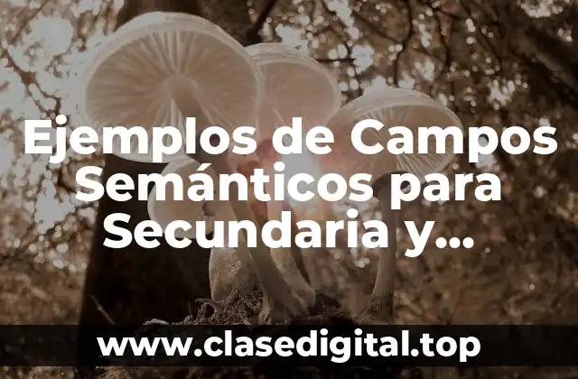 Ejemplos de Campos Semánticos