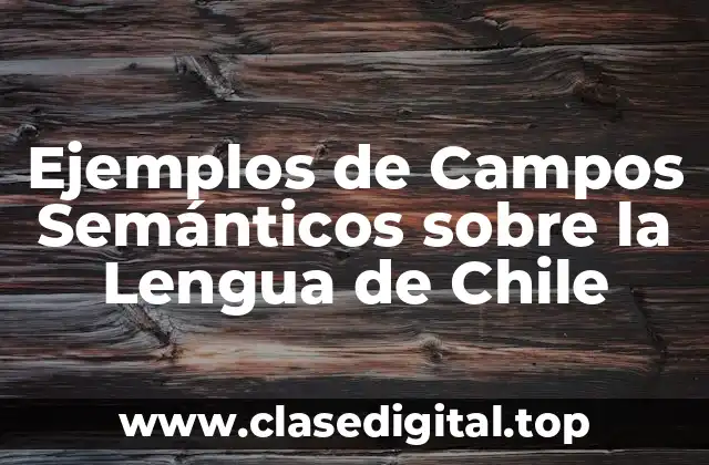 Ejemplos de Campos Semánticos sobre la Lengua de Chile