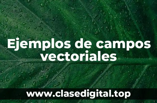Ejemplos de campos vectoriales