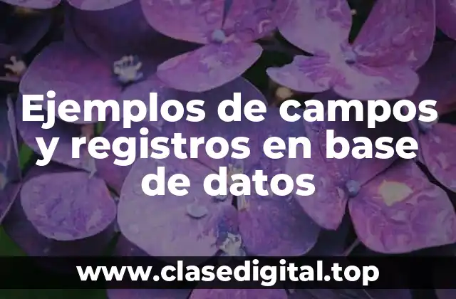 Ejemplos de campos y registros en base de datos
