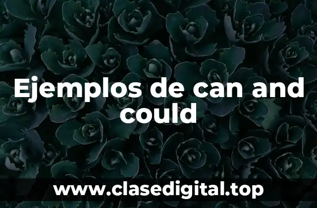 Ejemplos de can and could