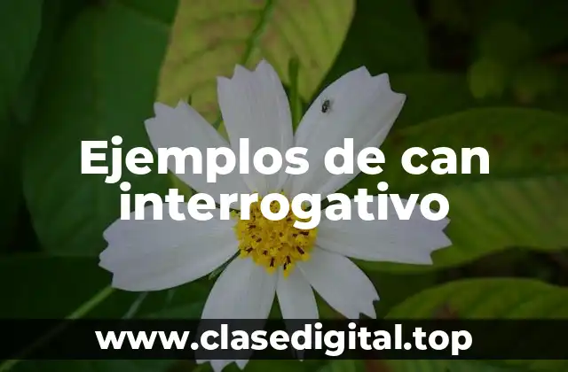 Ejemplos de can interrogativo