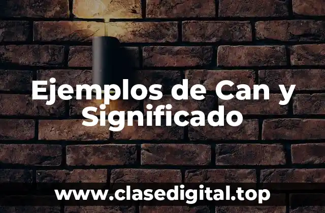 Ejemplos de Can y Significado