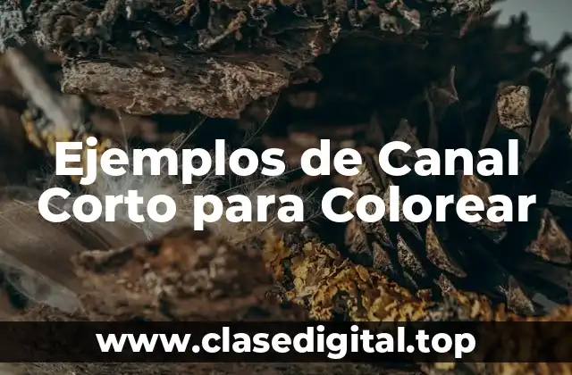 Ejemplos de Canal Corto para Colorear