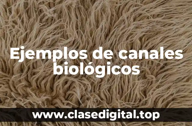 Ejemplos de canales biológicos