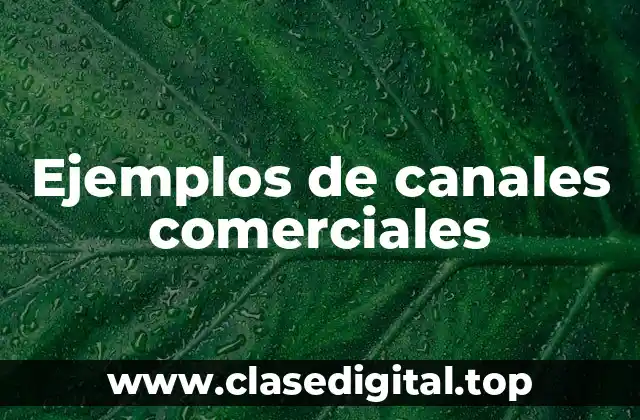 Ejemplos de canales comerciales