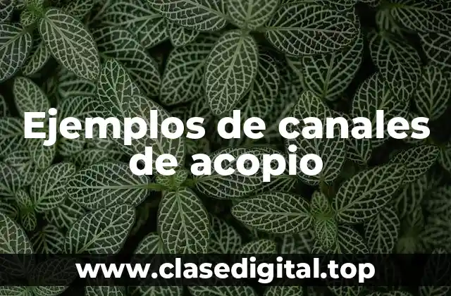 Ejemplos de canales de acopio