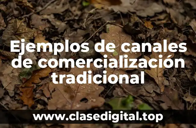 Ejemplos de canales de comercialización tradicional
