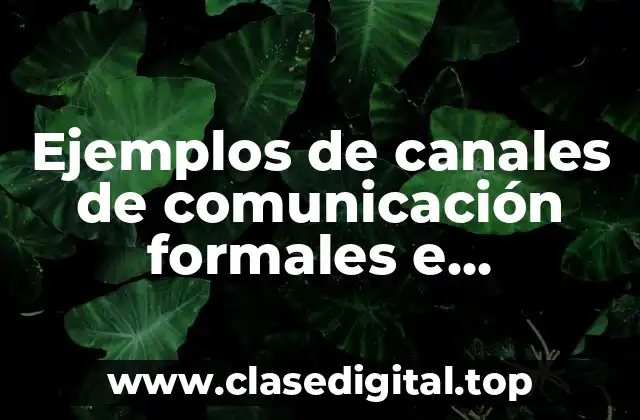 Ejemplos de canales de comunicación formales e informales y Significado