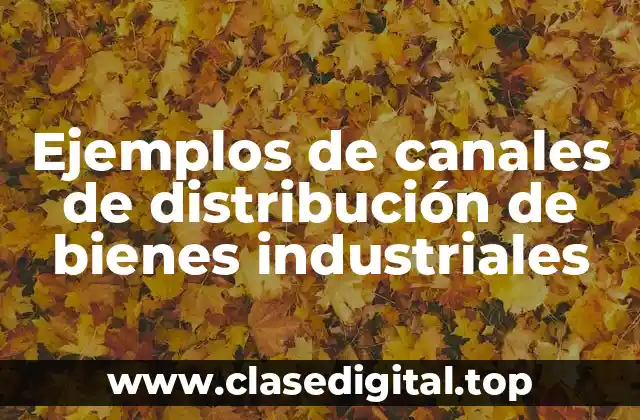 Ejemplos de canales de distribución de bienes industriales