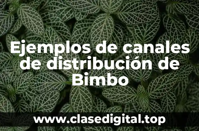 Ejemplos de canales de distribución de Bimbo