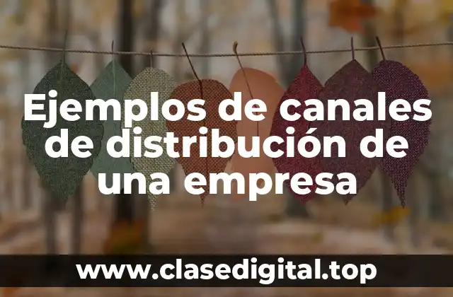 Ejemplos de canales de distribución de una empresa