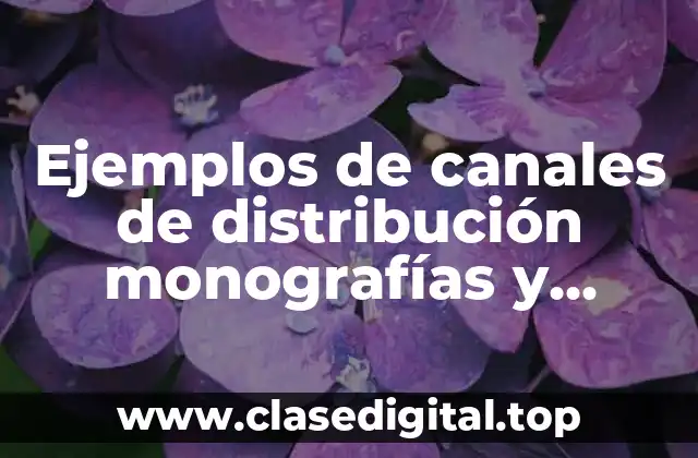 Ejemplos de canales de distribución monografías y Significado