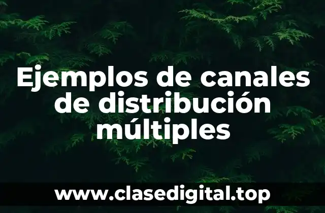 Ejemplos de canales de distribución múltiples