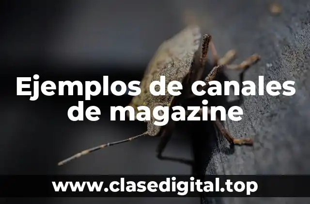 Ejemplos de canales de magazine