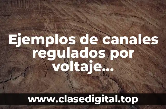 Ejemplos de canales regulados por voltaje depolarizante