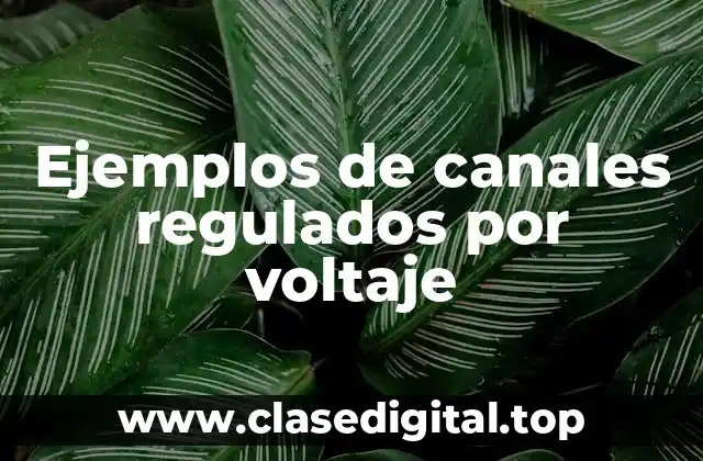 Ejemplos de canales regulados por voltaje