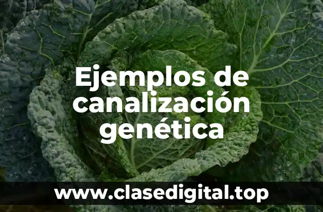 Ejemplos de canalización genética