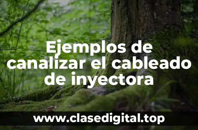 Ejemplos de canalizar el cableado de inyectora