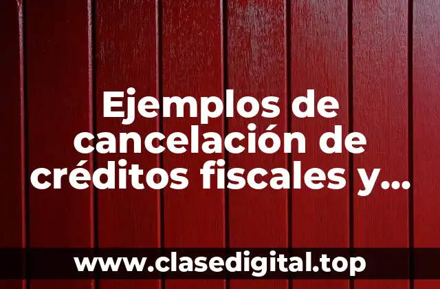 Ejemplos de cancelación de créditos fiscales y Significado