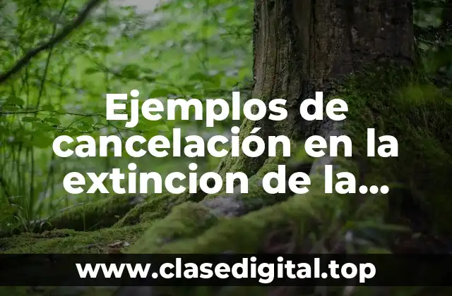 Ejemplos de cancelación en la extincion de la obligación civil
