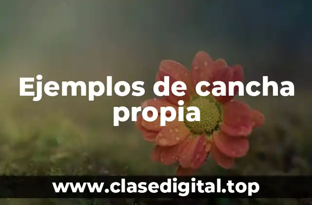 Ejemplos de cancha propia