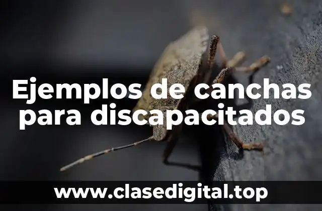 Ejemplos de canchas para discapacitados