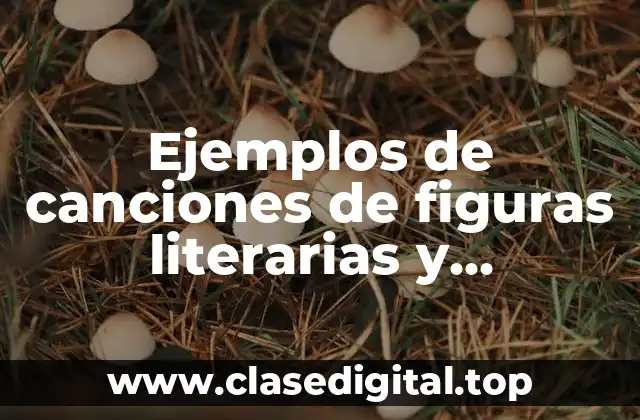 Ejemplos de canciones de figuras literarias y Significado