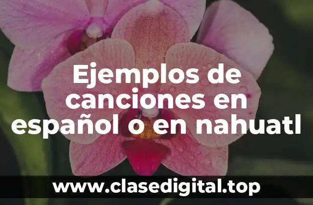 Ejemplos de canciones en español o en nahuatl