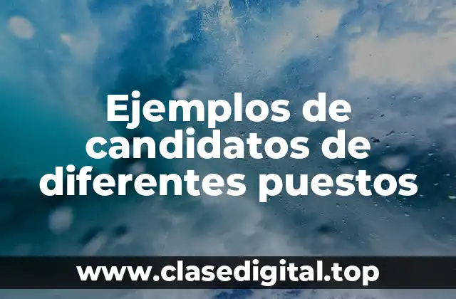Ejemplos de candidatos de diferentes puestos