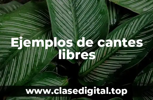 Ejemplos de cantes libres