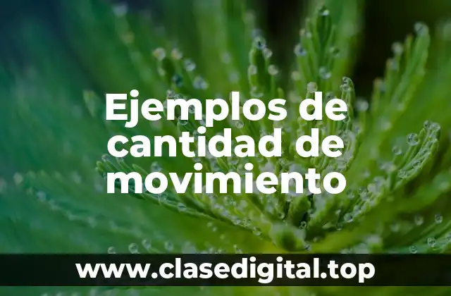 Ejemplos de cantidad de movimiento