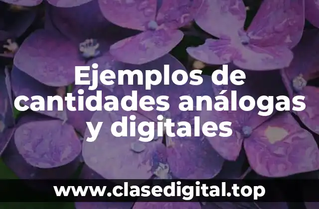Ejemplos de cantidades análogas