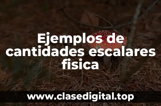Ejemplos de cantidades escalares fisica