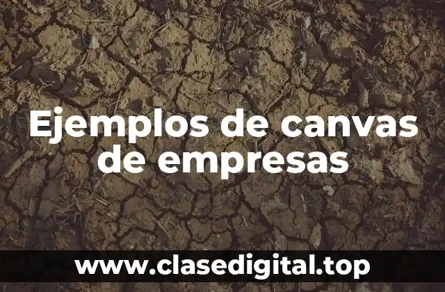Ejemplos de canvas de empresas